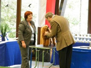 04.10.2009 Melsungen, JCA, Res.VDH-JCA, DPK-Jugendsieger