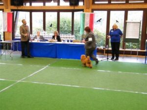 04.10.2009 Melsungen, JCA, Res.VDH-JCA, DPK-Jugendsieger