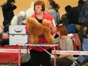 26.06.2010 Herning, Weltsieger, Sehr gut, 4. Platz
