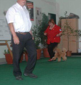 Ahlbeck Juni 2011