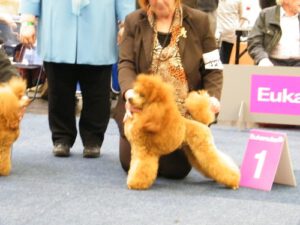 Dortmund Mai 2012