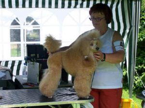 Lehmke 2006