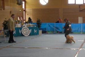 Schafstädt Mai 2012