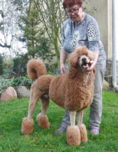 Sulley
