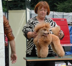 Szczecin Juni 2011