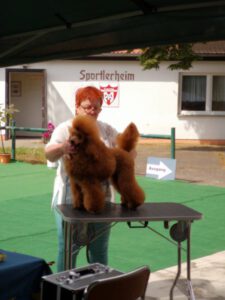 Uriel von der Herbordsburg, DPK-Jugendchampion