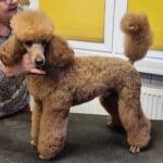 Ahnentafel Jameson von der Herbordsburg